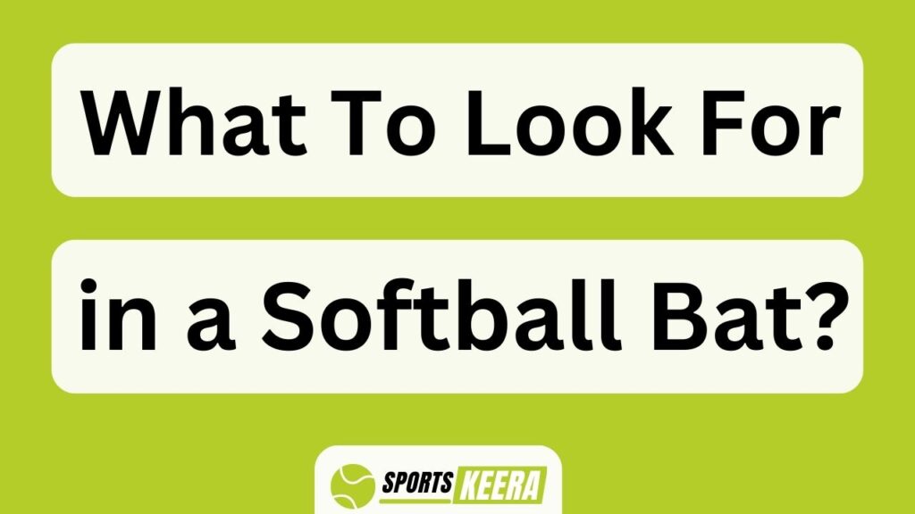 What To Look For In A Softball Bat?